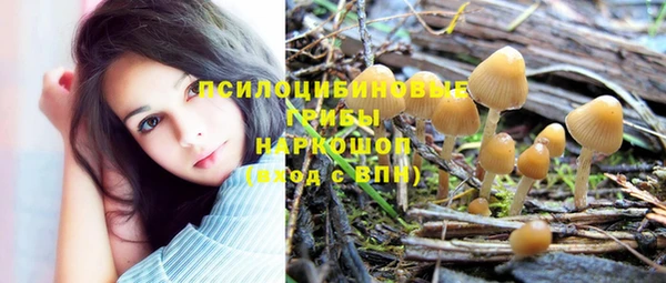 каннабис Абаза