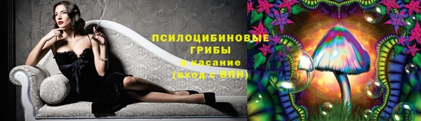 гидра Абдулино
