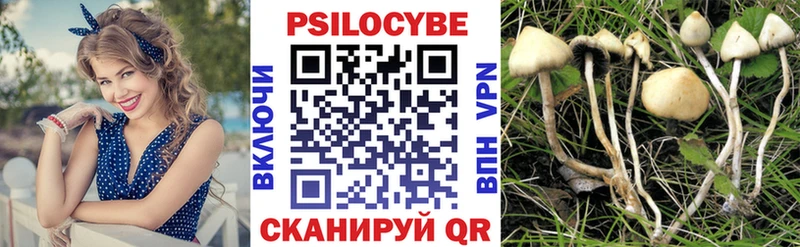 Галлюциногенные грибы Psilocybe  Кяхта 